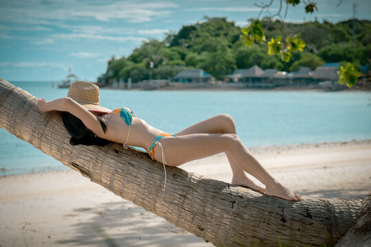 Woman tourist stay enjoy the nature of summer on the tropical island under shadow of the coconut palm trees at the edge of the sea beach
