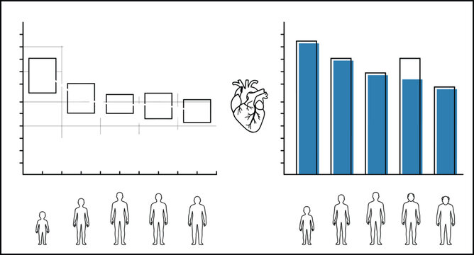 Comparison charts showing heart rate changes across different ages from childhood to old age.