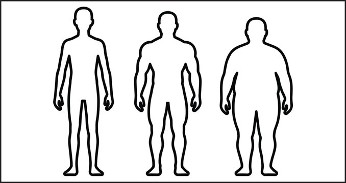 Male body shapes comparison showing thin athletic and overweight silhouettes.