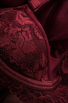 Macro shot of elegant burgundy lace bra with detailed floral embroidery. Macro view of dark red lace texture, fine stitching and luxury underwear craftsmanship.