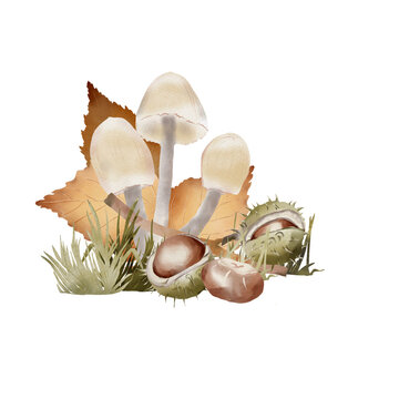 Watercolor forest mushroom composition with autumn leaf, chestnuts and grass, isolated PNG clipart