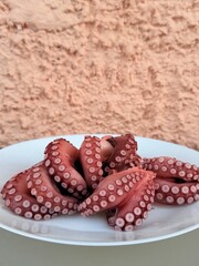 octopus © Oksana