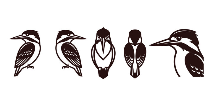 Set of hand drawn kingfisher bird illustrations showing different angles and poses in black ink style