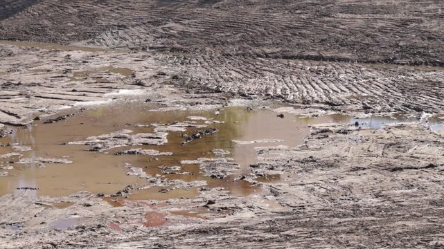 River channel after clearance work: exposed ridged mud, shallow pools, and uneven sediment surface; mood reflects post-intervention landscape with visible earthwork patterns