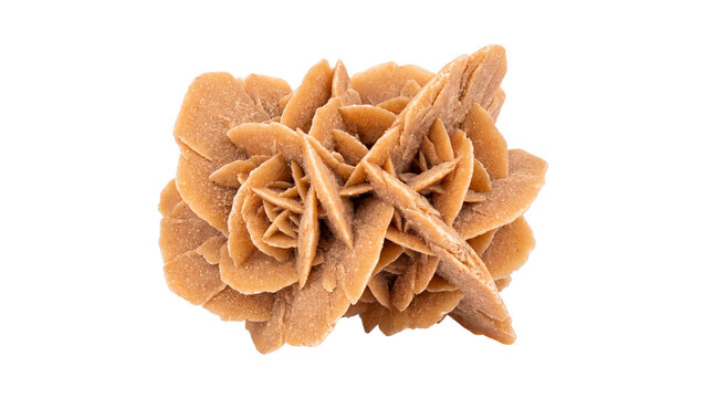 Desert rose crystal formation, natural gypsum mineral specimen, sandy brown selenite stone for geology and home decor isolated PNG with Transparent Background