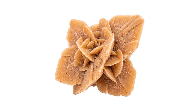 Desert rose crystal formation, natural gypsum mineral specimen, tan sandy rock cluster for geology study and home decor isolated PNG with Transparent Background