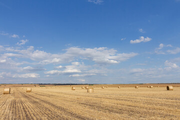 A field of hay bales © parpalac