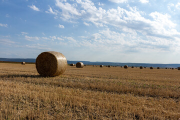 Bales of hay in a field © parpalac