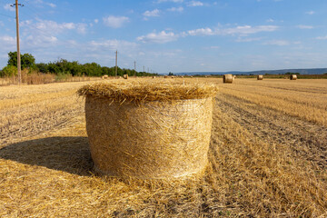 Bales of hay in a field © parpalac