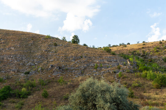 A rocky hill with plants