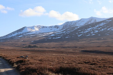 Fototapeta premium Scotland Cairngorms lochnagar