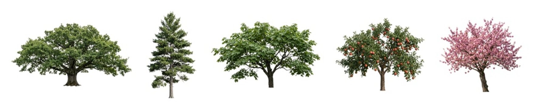 Set of various tree types including broadleaf and fruit trees