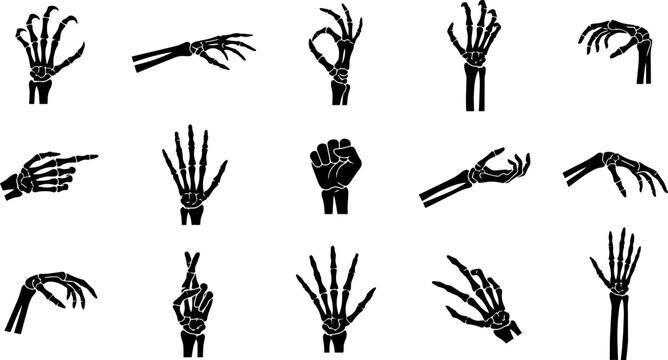 Collection of black skeletal hand silhouettes displaying various gestures on a white background anatomy articulation bones cadaver calcium cartilage clenched