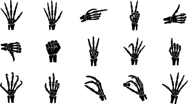 Collection of black silhouette human skeletal hands displaying various gestures on a white background anatomy bones cadaver calcium cartilage clavicle