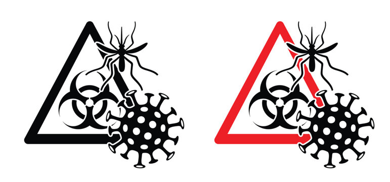 Biohazard, West nile virus, infected mosquito. A mosquito borne virus from the Flavivirus family, house mosquito Culex pipiens. Humans and other mammals, such as horses, are so-called dead-end hosts.B