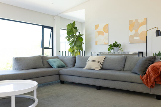 Grey L-shaped sectional sofa is anchoring modern living room with teal cushion, rust throw