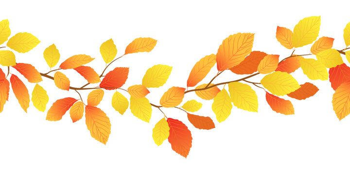 Horizontal pattern with autumn beech branch. Orange and yellow beech leaves in early autumn. Vector seamless leaf fall border. Illustration for seasonal sales and offers. Stylized Cartoon elm branch.