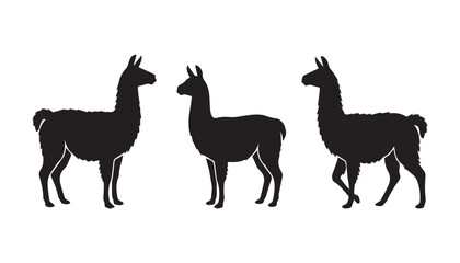Obraz premium black color silhouette set of three llama vector illustration, solid white background