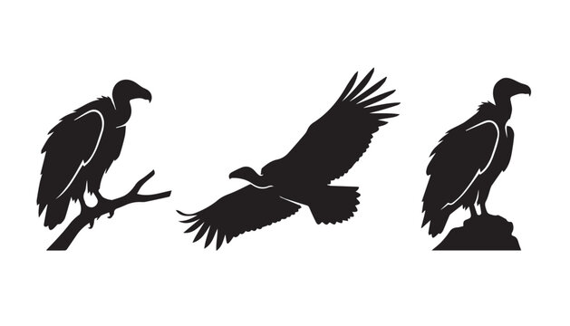 black color silhouette set of three vulture bird vector illustration, solid white background