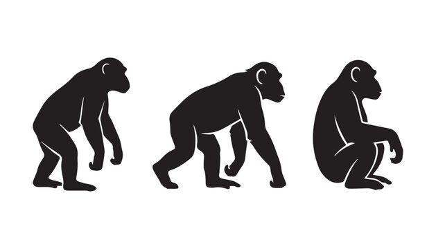 black color silhouette set of three Chimpanzee vector illustration, solid white background