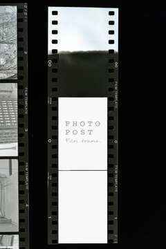 Retro vertical photographic film negative strip with empty white space and sprocket holes.