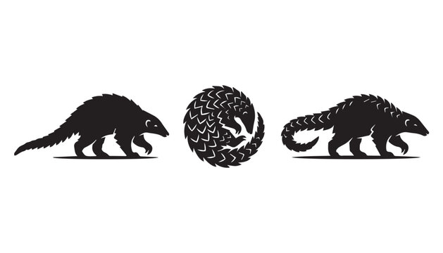 black color silhouette set of three Pangolin vector illustration, solid white background
