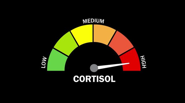 Animation of a cortisol level gauge with the needle pointing to the high-stress zone, set against a black background, for medical and health infographics; 4K motion graphics.