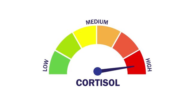 Cortisol level indicator animation, needle pointing to high cortisol, high stress hormone level check, white background, 4K video.