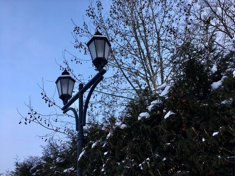 Streetlight against winter sky: double-headed lamp post with fresh snow on top of metal elements standing tall near Thuja hedge in park reaching blue heaven with snowy clouds creating moody atmosphere