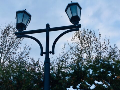 Streetlight against winter sky: double-headed lamp post with fresh snow on top of metal elements standing tall near Thuja hedge in park reaching blue heaven with snowy clouds creating moody atmosphere
