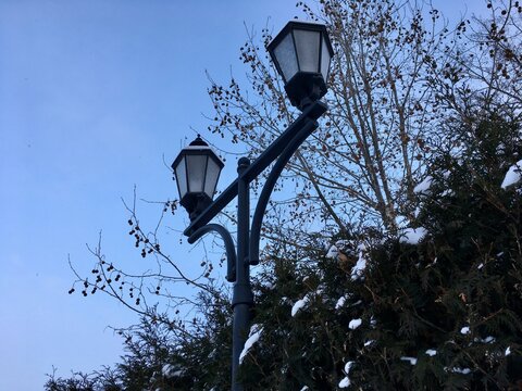 Streetlight against winter sky: double-headed lamp post with fresh snow on top of metal elements standing tall near Thuja hedge in park reaching blue heaven with snowy clouds creating moody atmosphere