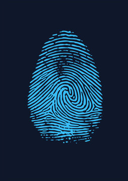 Vivid blue thumbprint showing a spiral whorl, rendered in flat vector style. This dactylogram, also called a finger mark or print, works well for biometric identity and security concepts.