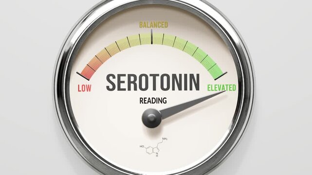 Serotonin - serotonin level at maximum. High and rising values of serotonin. Meter needle reaching elevated levels. Serotonin values off the charts. (No AI, made by humans for humans).