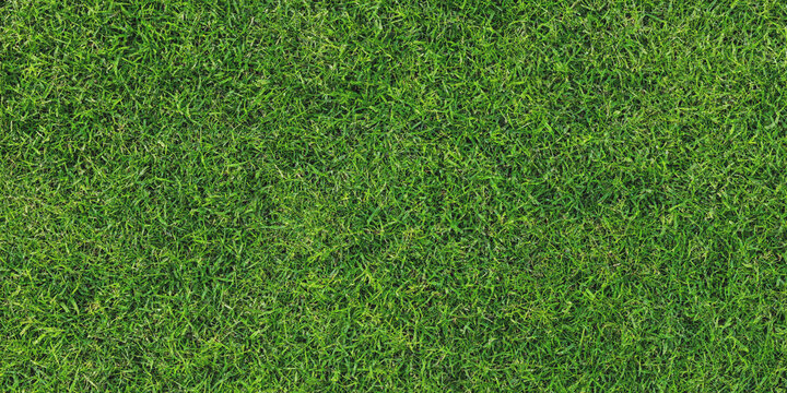 Green grass texture background, top view of a lush lawn or artificial turf surface.