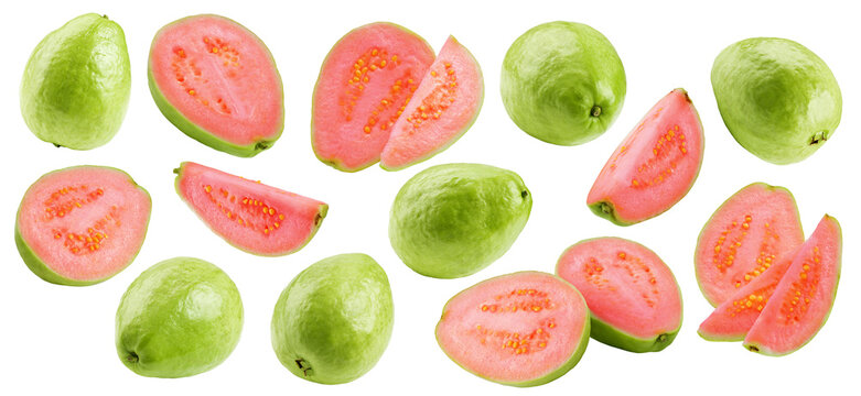 guava isolated, full depth of field