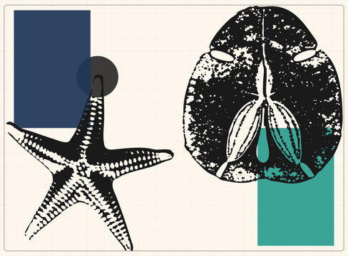 High contrast vector art textured sea star and sand penny on grid. Stippled mimic rough marine textures in a geometric composition of organic silhouettes and navy/teal rectangles, creating a