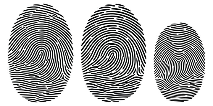 Fingerprint identification icons featuring biometric security, thumbprint scanning, access control, identity verification, authentication, and digital protection symbols