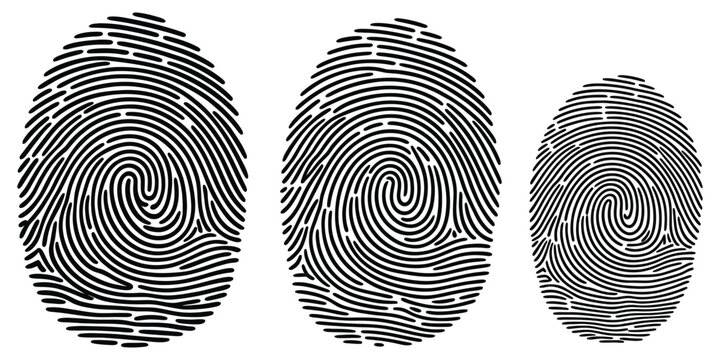 Fingerprint identification icons featuring biometric security, thumbprint scanning, access control, identity verification, authentication, and digital protection symbols