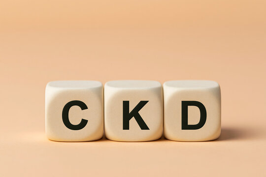 CKD（慢性腎臓病）の文字ブロック