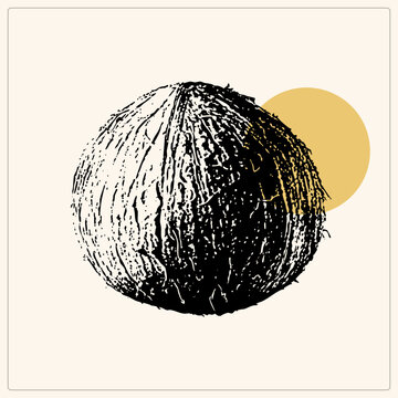 Bold grunge of a hairy coconut, the copra fruit whole with shaggy husk. This tropical drupe, nicknamed coco and nariyal, sits before a sun disc in vintage screen print style.