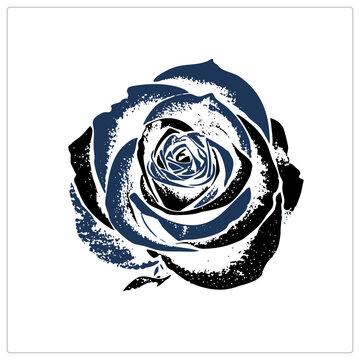 "Vintage grunge rose as weathered stencil print, spiral petals fading into speckled texture. Classic cabbage rose blends flat navy tones with gritty screen print distressing."