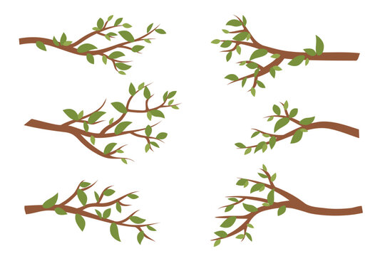 set of tree branches with green leaves - vector illustration