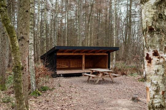 A modern wooden shelter and picnic table in a dense forest, providing a quiet and cozy retreat for hikers in autumn