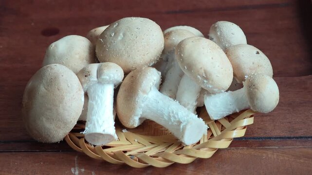 a basket of mushrooms in white 