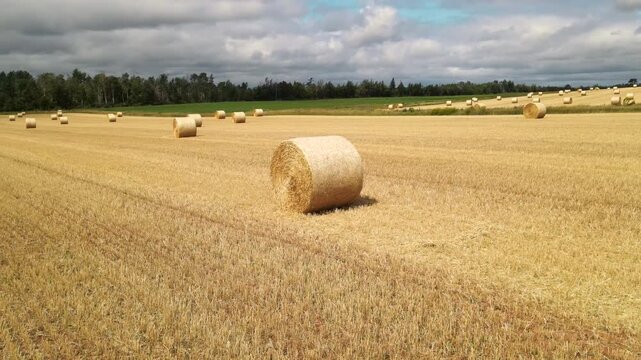 Drone orbit around single round straw bale in Prince Edward Island, Canada