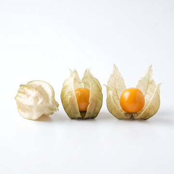 Vibrant Goldenberries with Delicate Papery Husks Isolated on White Studio Shot