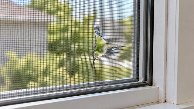 Close-up of rental apartment window screen showing small tear and stretched mesh requiring repair