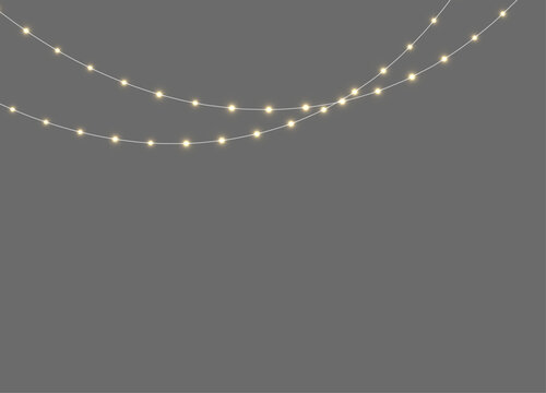 Hanging gold lights with tiny shining bulbs creating elegant flowing lines, isolated on transparent PNG.