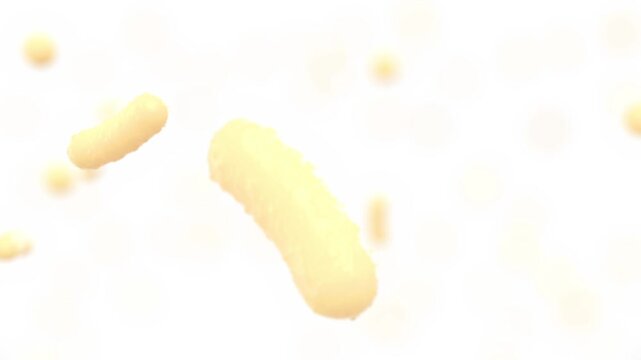 Microbiome Organisms and Fat Cells 3D Medical Research Animation
