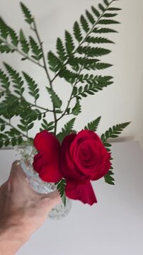 planta rosa vermelha em vaso decorativo em casa 
